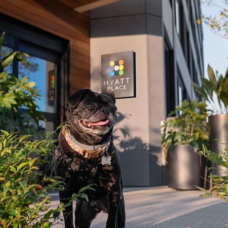Hyatt Place Atlanta/Perimeter Center Sandy Springs Exteriör bild